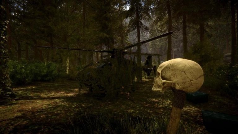 Sons Of The Forest – How To Cure Sickness